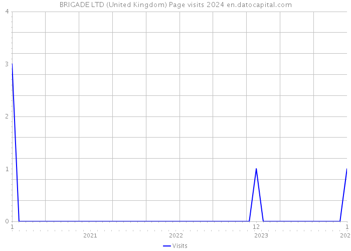 BRIGADE LTD (United Kingdom) Page visits 2024 