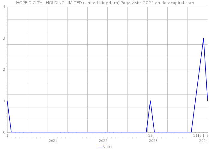 HOPE DIGITAL HOLDING LIMITED (United Kingdom) Page visits 2024 