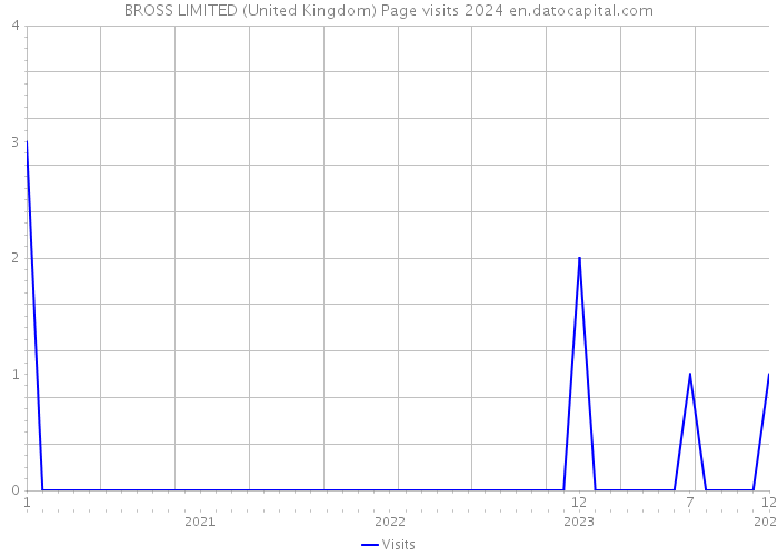BROSS LIMITED (United Kingdom) Page visits 2024 
