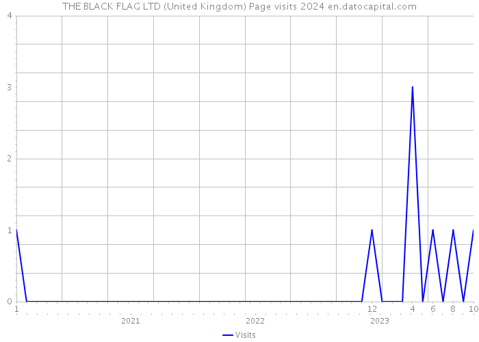 THE BLACK FLAG LTD (United Kingdom) Page visits 2024 