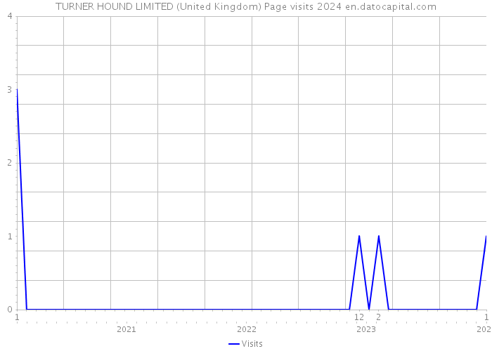 TURNER HOUND LIMITED (United Kingdom) Page visits 2024 