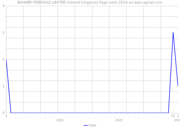 BANNER FREEHOLD LIMITED (United Kingdom) Page visits 2024 