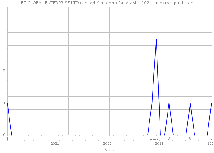 FT GLOBAL ENTERPRISE LTD (United Kingdom) Page visits 2024 