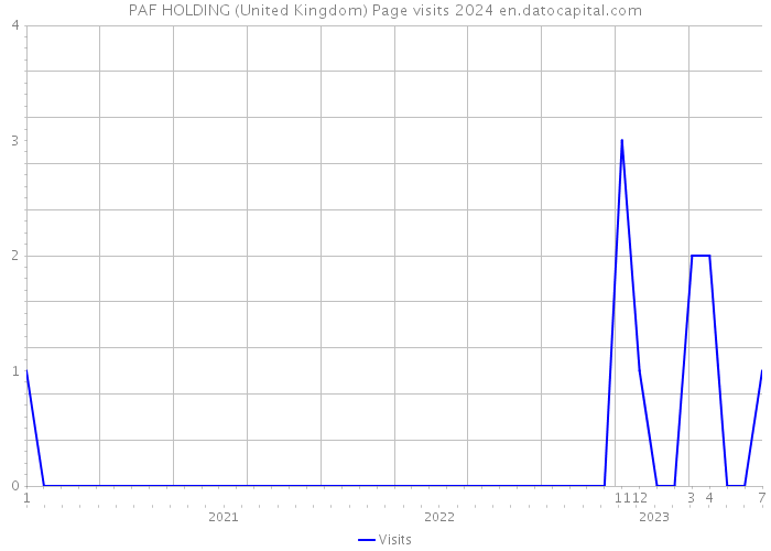 PAF HOLDING (United Kingdom) Page visits 2024 