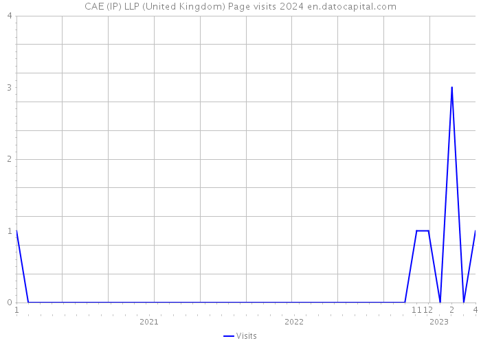 CAE (IP) LLP (United Kingdom) Page visits 2024 