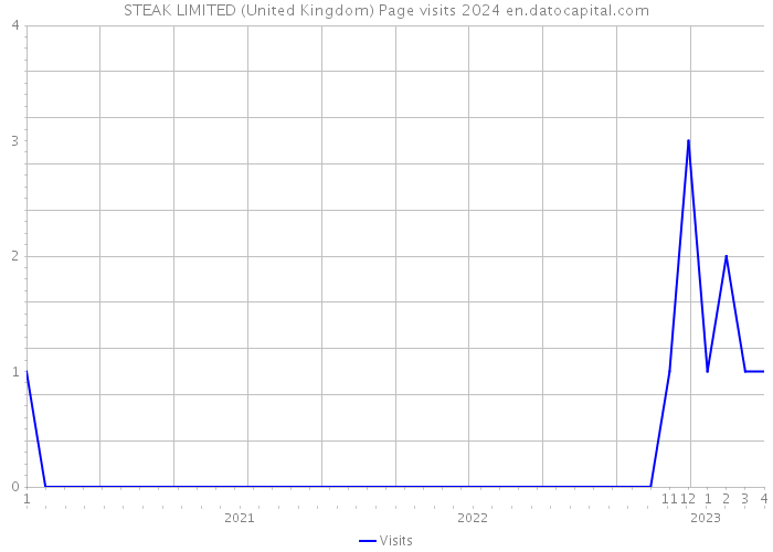 STEAK LIMITED (United Kingdom) Page visits 2024 