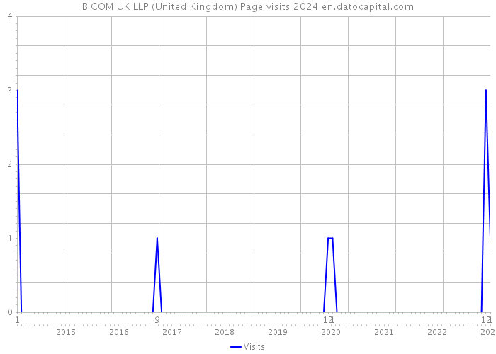 BICOM UK LLP (United Kingdom) Page visits 2024 
