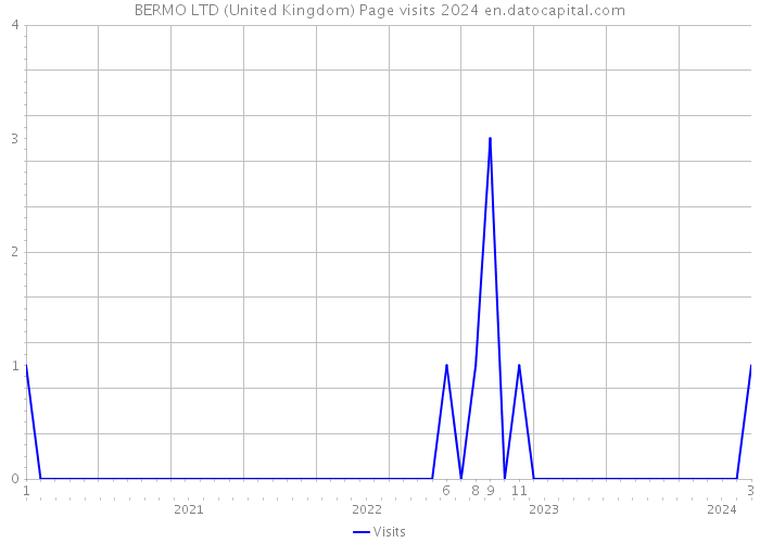 BERMO LTD (United Kingdom) Page visits 2024 