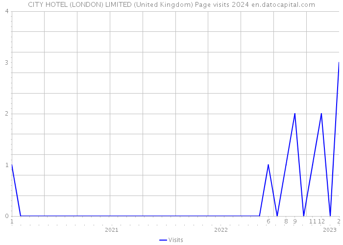CITY HOTEL (LONDON) LIMITED (United Kingdom) Page visits 2024 
