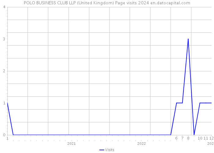 POLO BUSINESS CLUB LLP (United Kingdom) Page visits 2024 