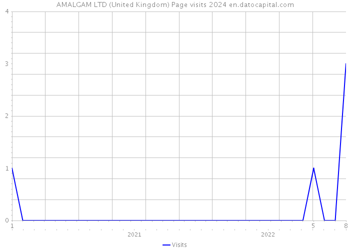 AMALGAM LTD (United Kingdom) Page visits 2024 