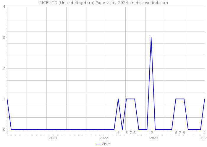 RICE LTD (United Kingdom) Page visits 2024 