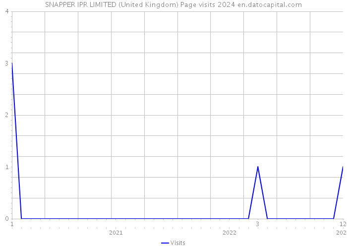 SNAPPER IPR LIMITED (United Kingdom) Page visits 2024 