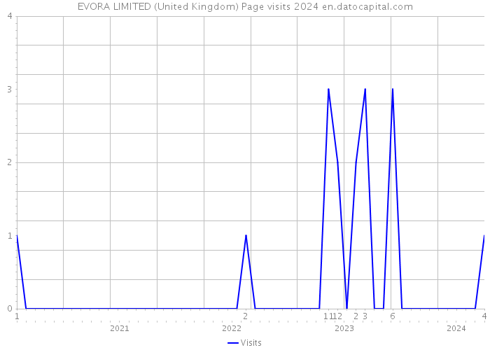 EVORA LIMITED (United Kingdom) Page visits 2024 