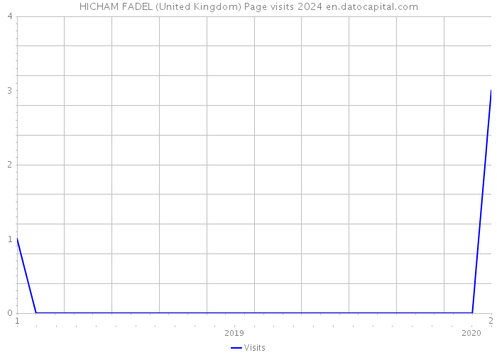 HICHAM FADEL (United Kingdom) Page visits 2024 