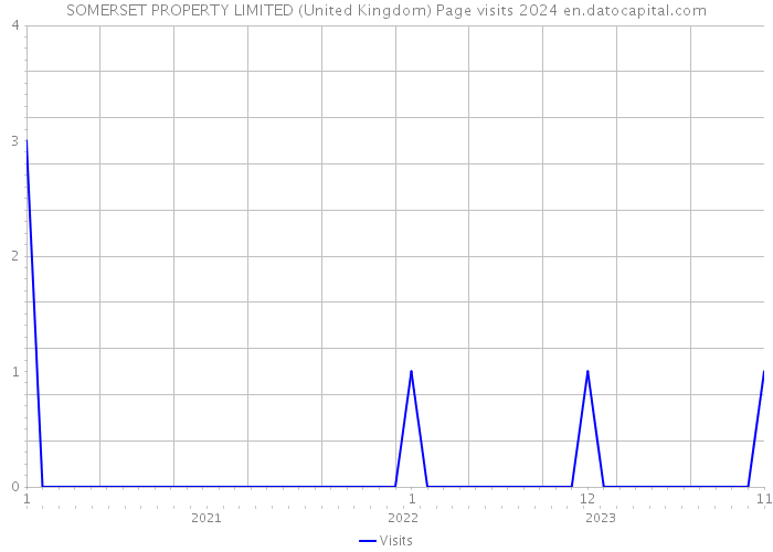 SOMERSET PROPERTY LIMITED (United Kingdom) Page visits 2024 