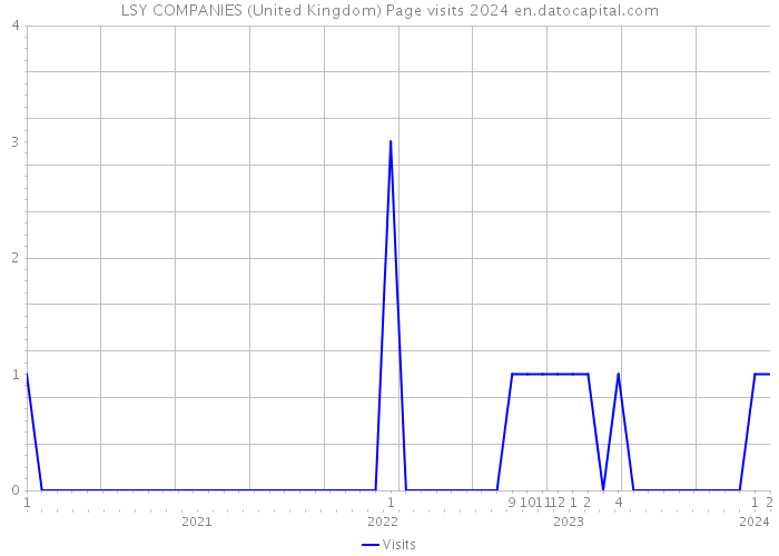 LSY COMPANIES (United Kingdom) Page visits 2024 