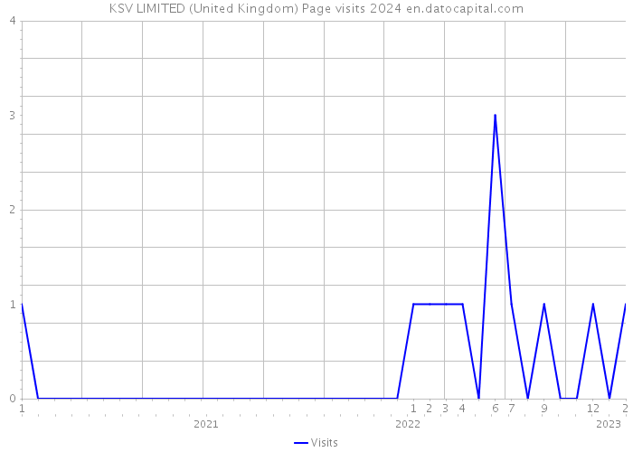 KSV LIMITED (United Kingdom) Page visits 2024 
