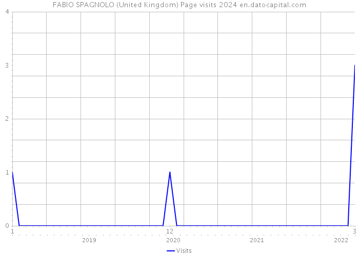 FABIO SPAGNOLO (United Kingdom) Page visits 2024 