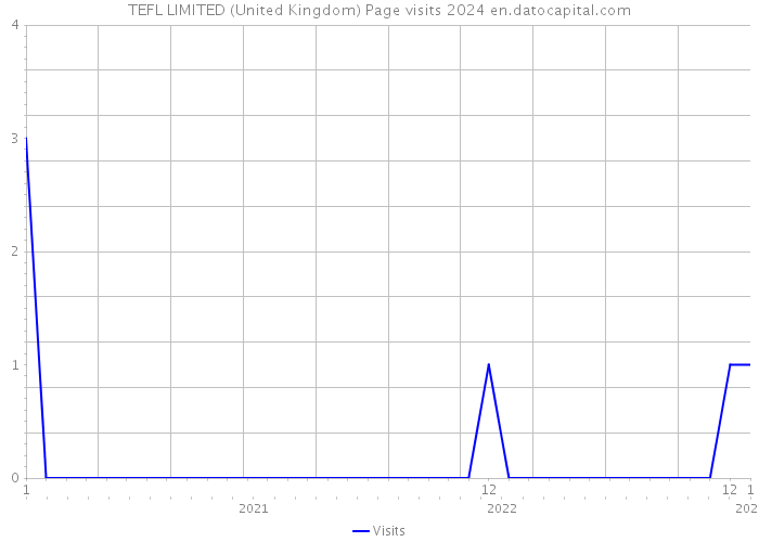 TEFL LIMITED (United Kingdom) Page visits 2024 