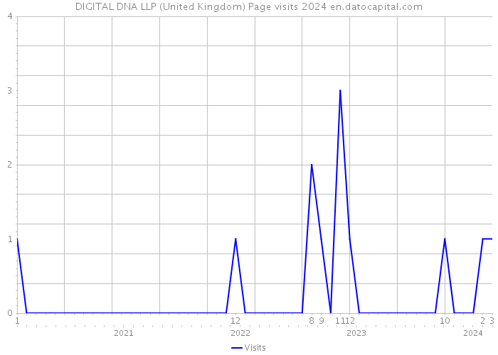 DIGITAL DNA LLP (United Kingdom) Page visits 2024 