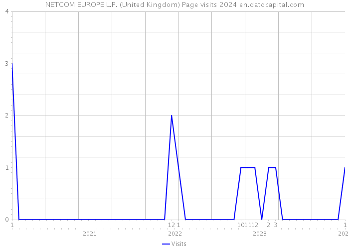 NETCOM EUROPE L.P. (United Kingdom) Page visits 2024 