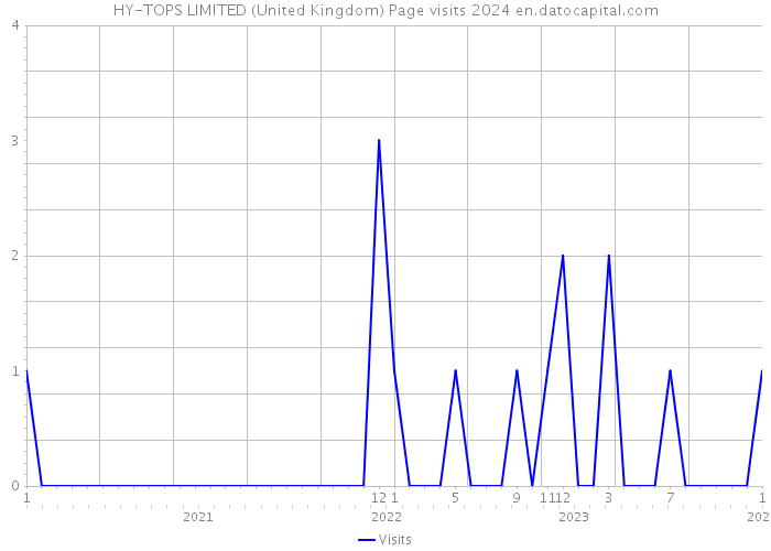 HY-TOPS LIMITED (United Kingdom) Page visits 2024 