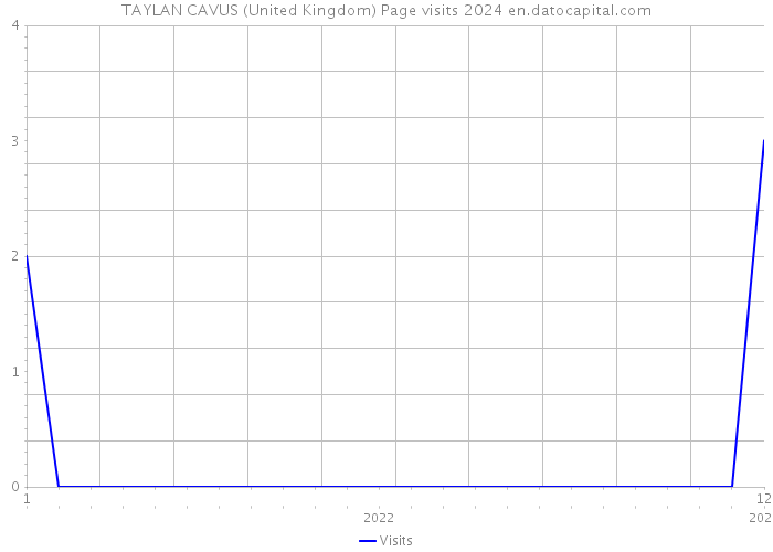 TAYLAN CAVUS (United Kingdom) Page visits 2024 