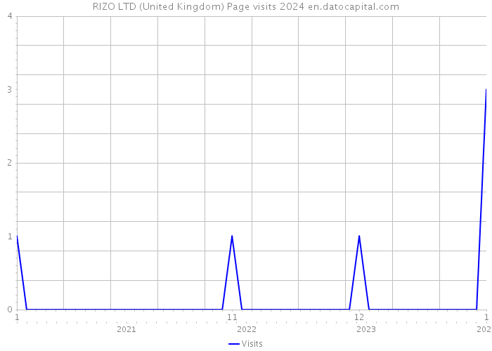 RIZO LTD (United Kingdom) Page visits 2024 