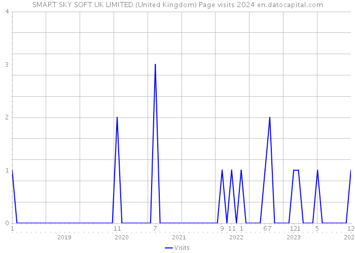 SMART SKY SOFT UK LIMITED (United Kingdom) Page visits 2024 