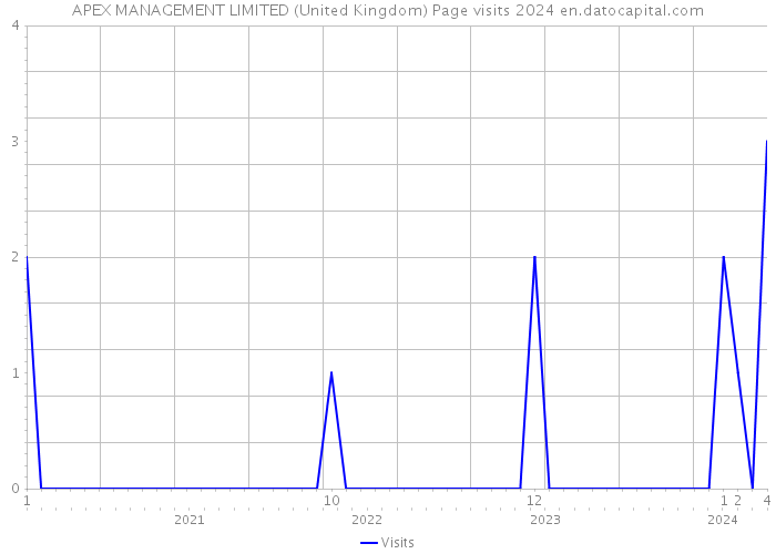 APEX MANAGEMENT LIMITED (United Kingdom) Page visits 2024 