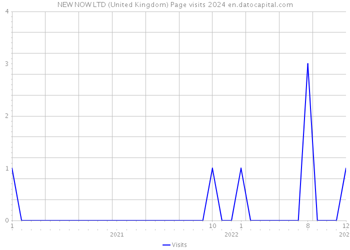 NEW NOW LTD (United Kingdom) Page visits 2024 