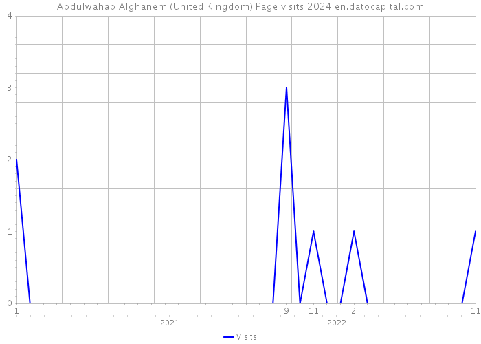 Abdulwahab Alghanem (United Kingdom) Page visits 2024 