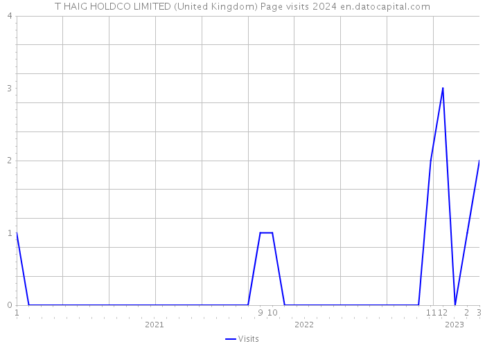 T HAIG HOLDCO LIMITED (United Kingdom) Page visits 2024 