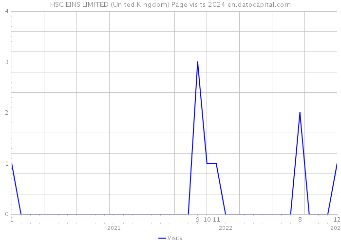 HSG EINS LIMITED (United Kingdom) Page visits 2024 