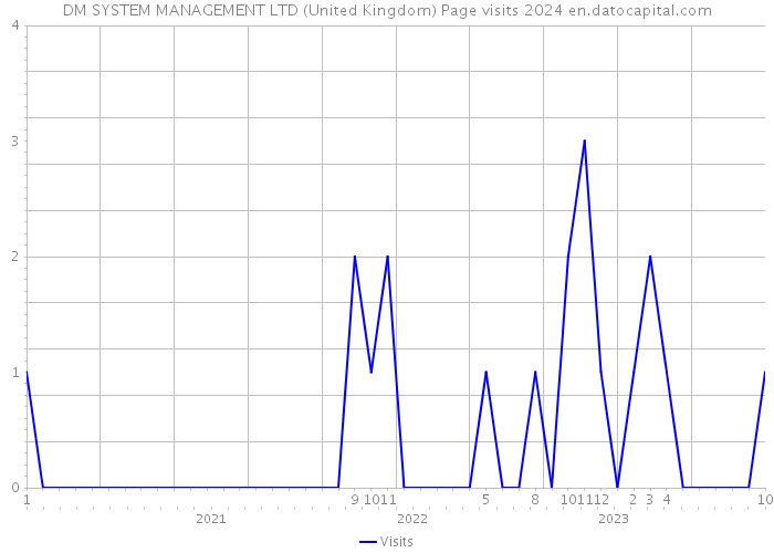 DM SYSTEM MANAGEMENT LTD (United Kingdom) Page visits 2024 