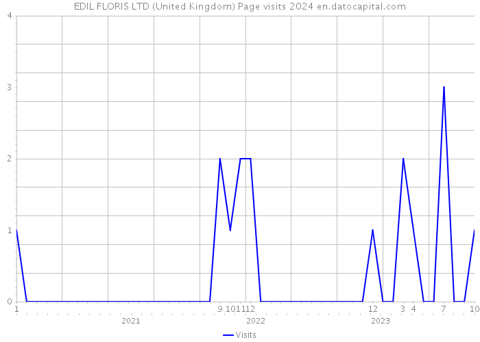 EDIL FLORIS LTD (United Kingdom) Page visits 2024 