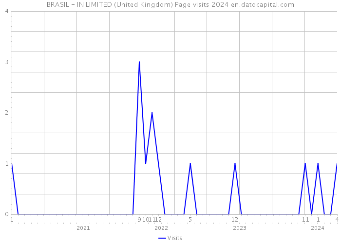 BRASIL - IN LIMITED (United Kingdom) Page visits 2024 