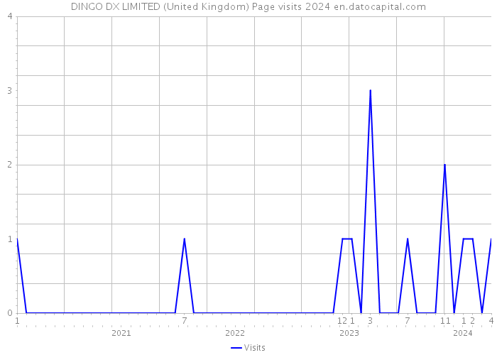 DINGO DX LIMITED (United Kingdom) Page visits 2024 