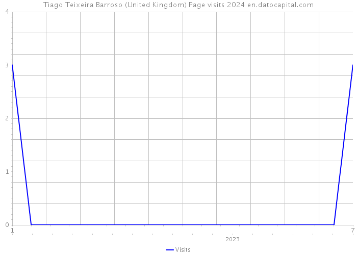 Tiago Teixeira Barroso (United Kingdom) Page visits 2024 