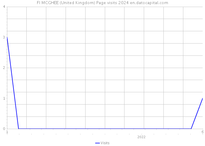 FI MCGHEE (United Kingdom) Page visits 2024 
