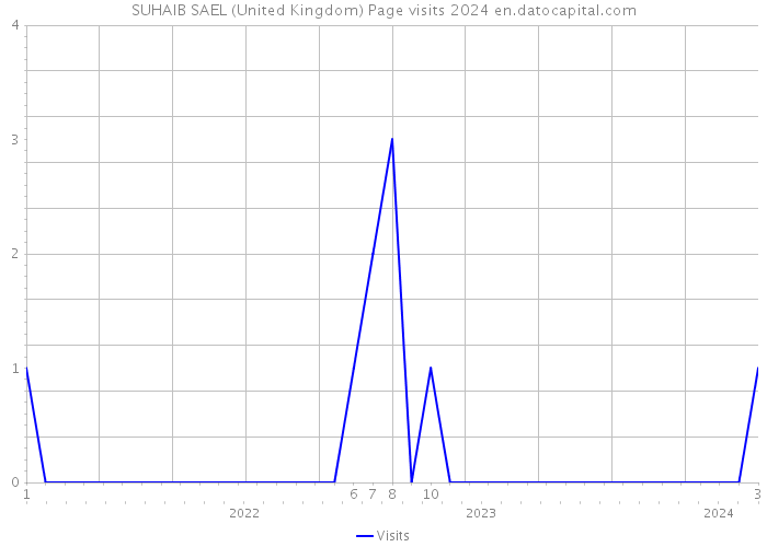 SUHAIB SAEL (United Kingdom) Page visits 2024 