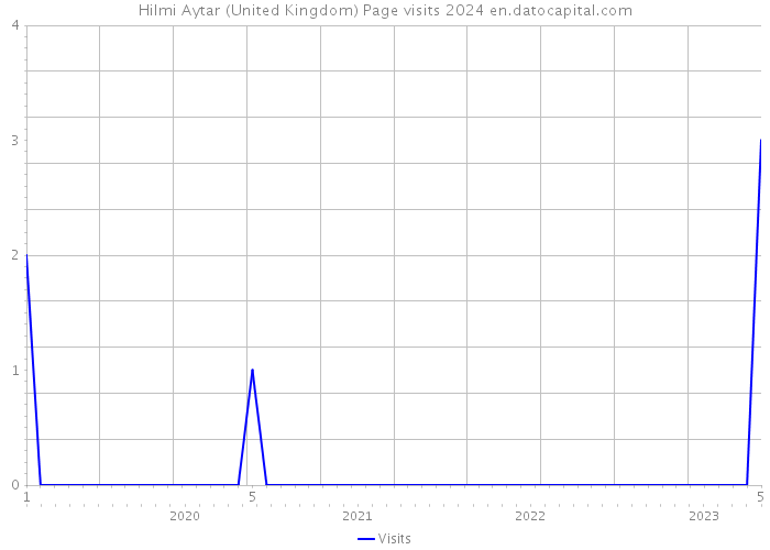 Hilmi Aytar (United Kingdom) Page visits 2024 