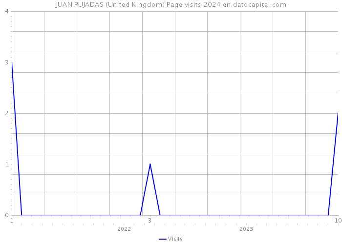JUAN PUJADAS (United Kingdom) Page visits 2024 