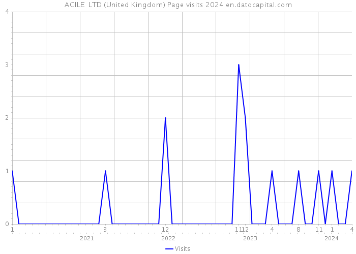 AGILE+ LTD (United Kingdom) Page visits 2024 