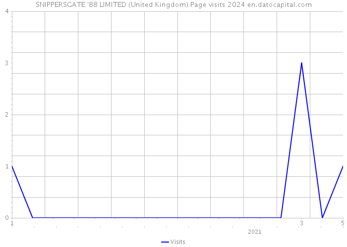 SNIPPERSGATE '88 LIMITED (United Kingdom) Page visits 2024 