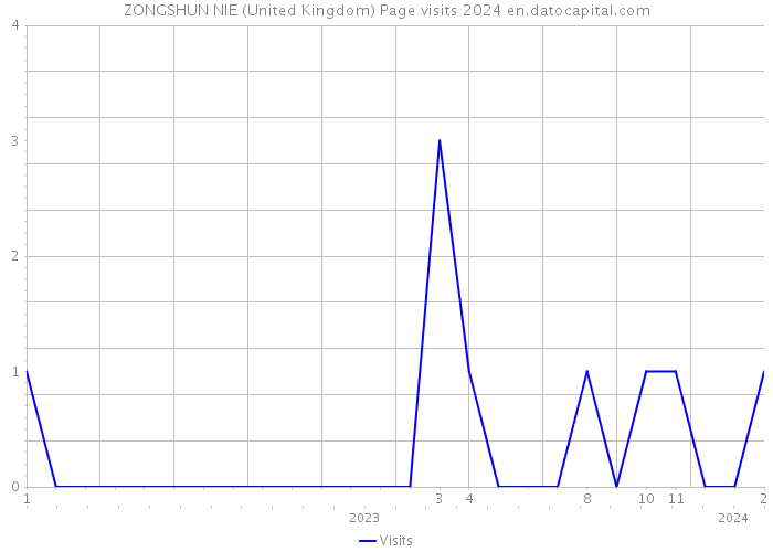 ZONGSHUN NIE (United Kingdom) Page visits 2024 