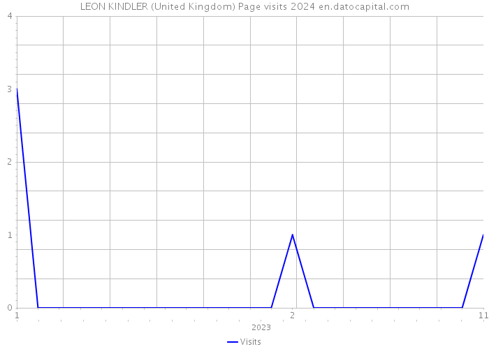 LEON KINDLER (United Kingdom) Page visits 2024 