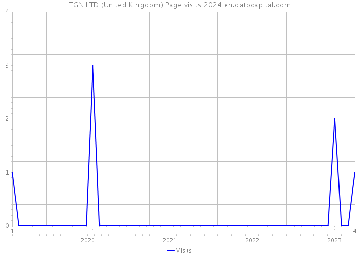 TGN LTD (United Kingdom) Page visits 2024 