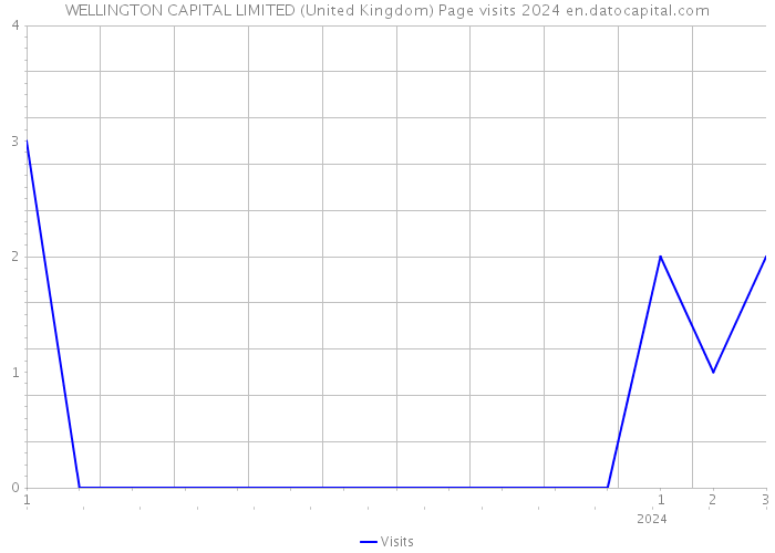 WELLINGTON CAPITAL LIMITED (United Kingdom) Page visits 2024 